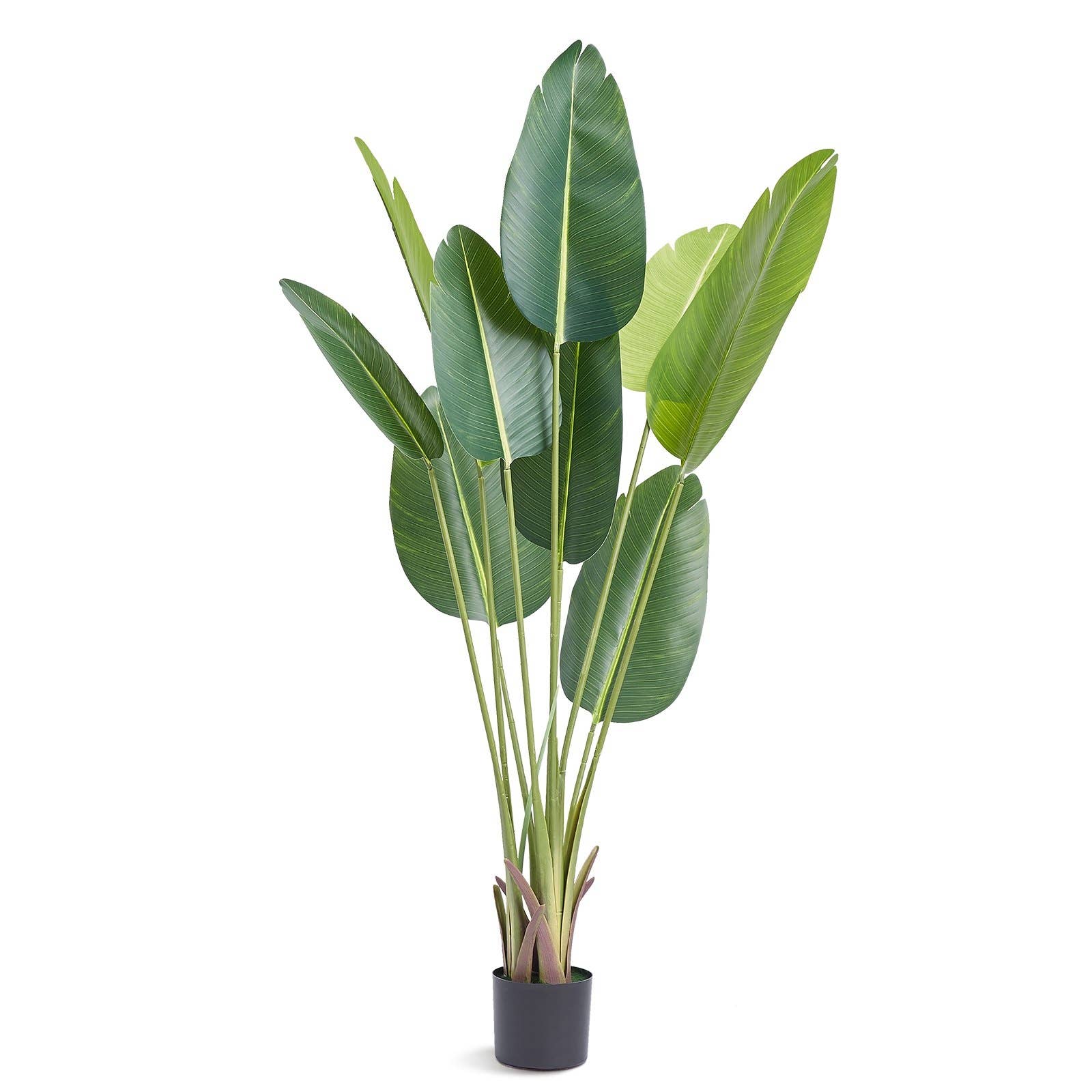 Michael & Philipp Noll e. K. - Wholesale Artificial Plant - banana plant, artificial plant, artificial plant1