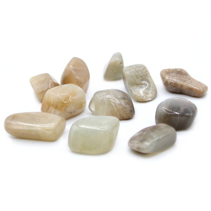 Ancient Wisdom – wholesale Spiritual stone/crystal – L Tumble Stones - Moonstone