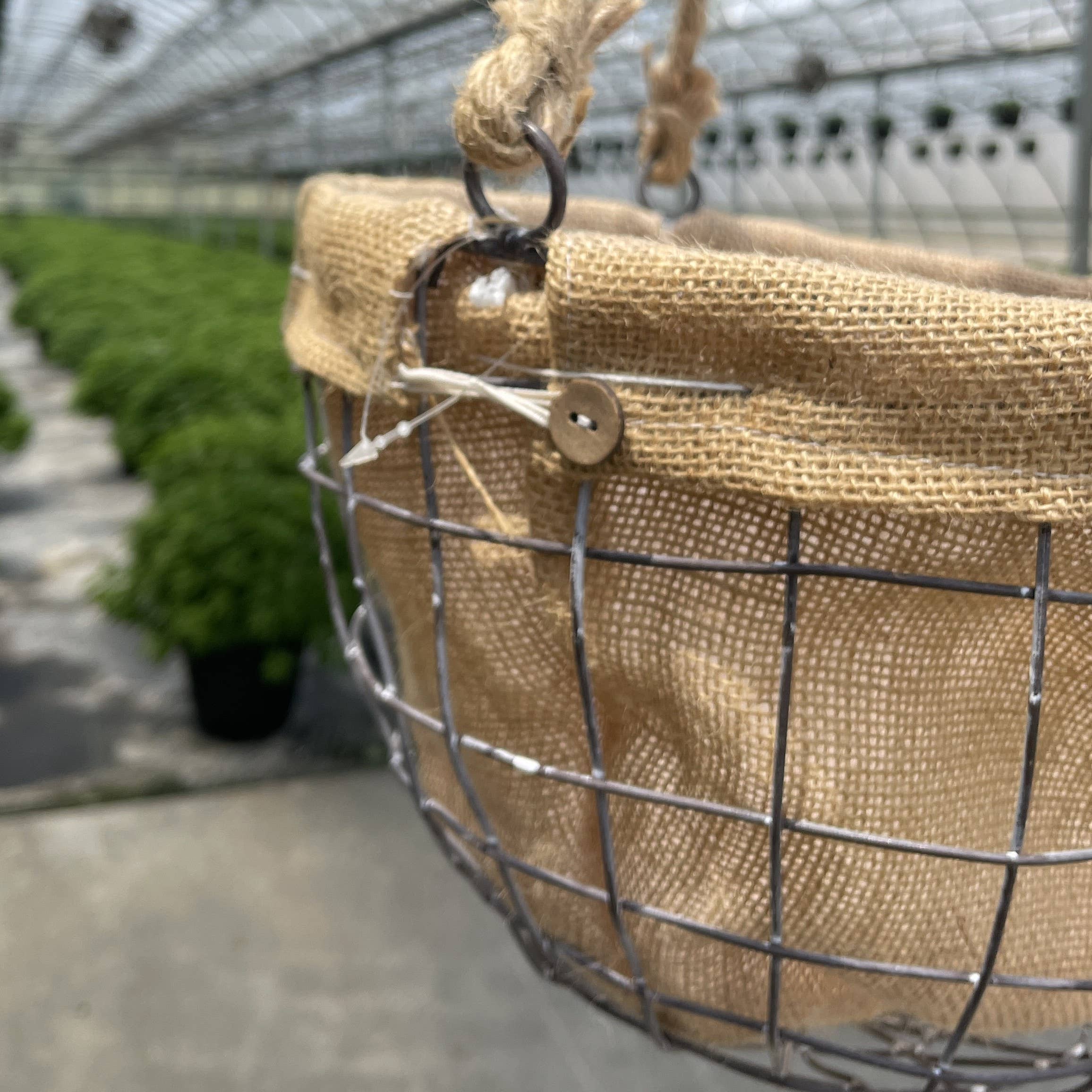 Thorsen's Greenhouse - Wholesale Hanging Planter - Burlap Hanging Basket - 11" Diameter3