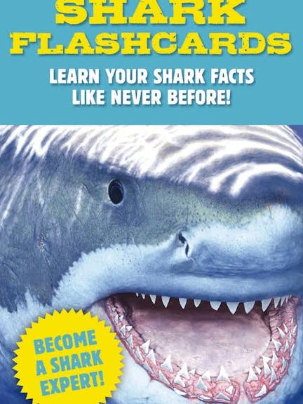 Shark Flashcards, Illustrated by Julius Csotonyi for wholesale by HarperCollins Focus