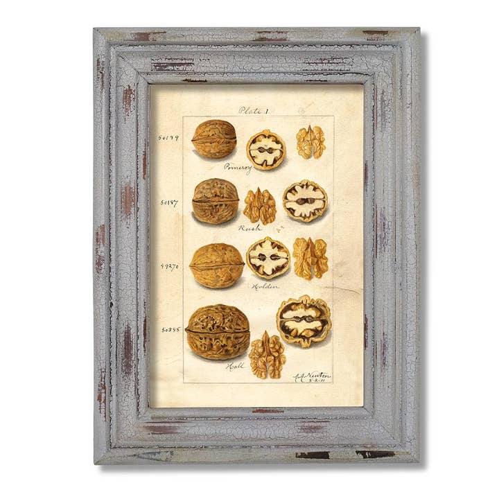 Nature and Style Wohnkultur Import GmbH - Wholesale Picture Frame - Picture Frame Profile Crackle1