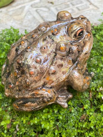 Betong Bullfrog Garden Statue, Stone Toad Garden, för wholesale av Backyard Stone Art