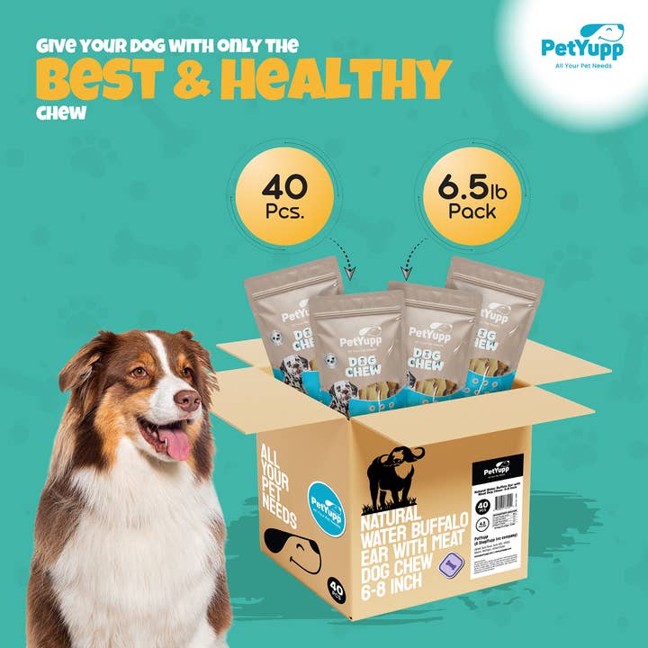 PetYupp - Wholesale Pet Treats - Dog - Dog Bulk Treats - Buffalo Ear with Meat - Pack of 40 pcs4