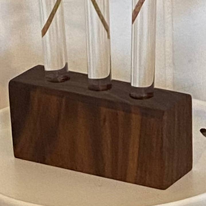 Bloque de propagación de plantas para venta al por mayor de Martiny Designs