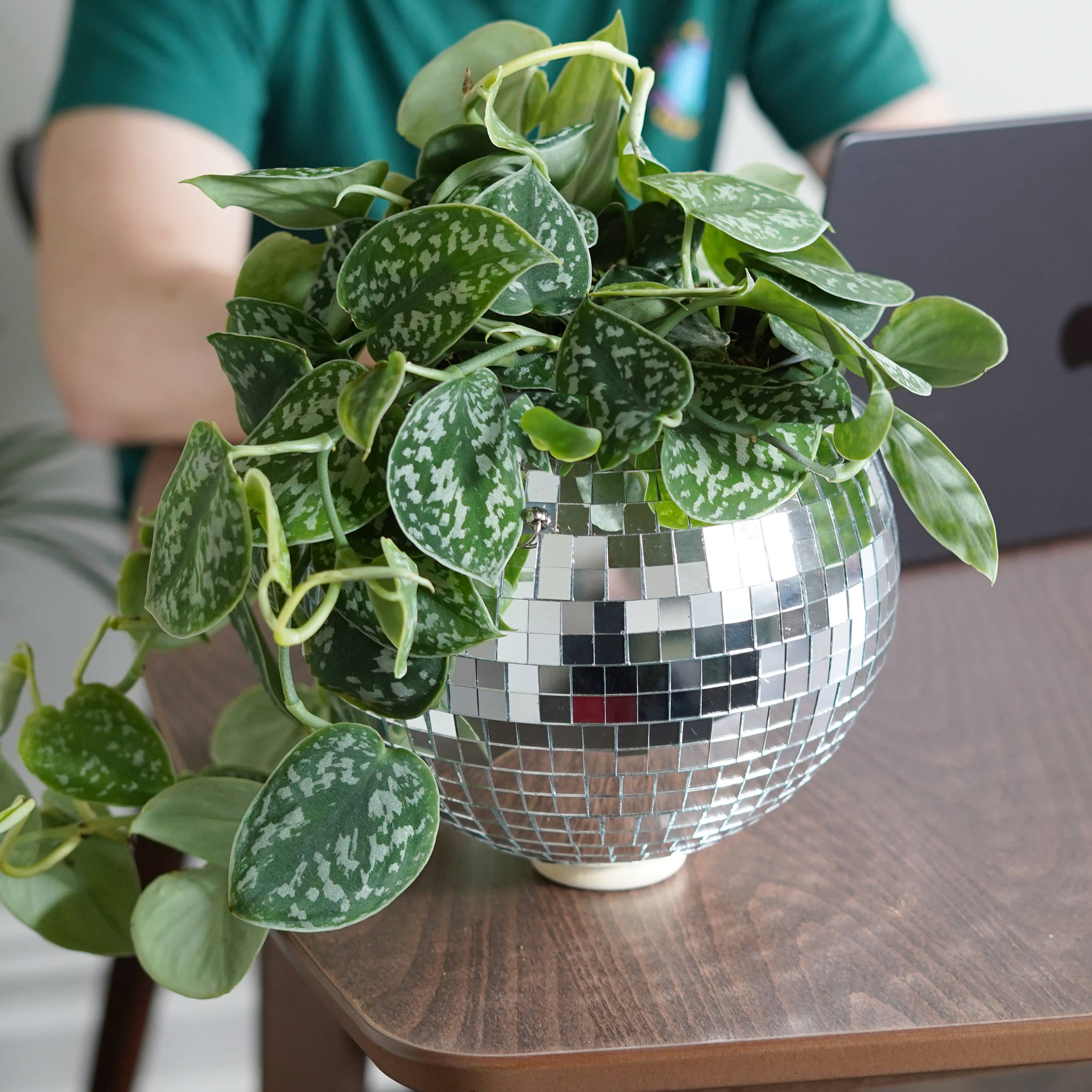 Bubblegum Stuff UK - Wholesale Hanging Planter - Disco Ball Hanging Planter 8-inch | Home & Lifestyle Gift3