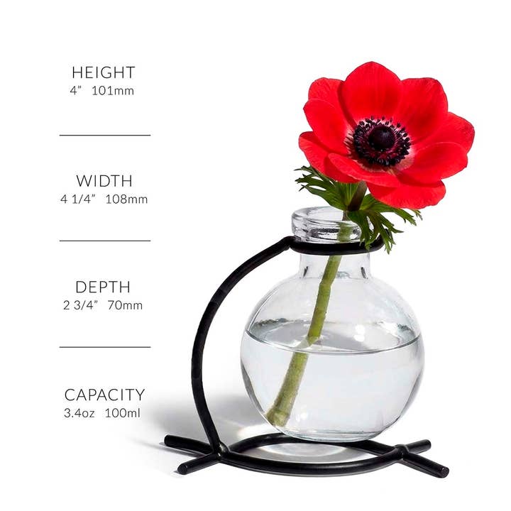 Couronne Co. - Wholesale Vase - Casablanca Vase, Clear2