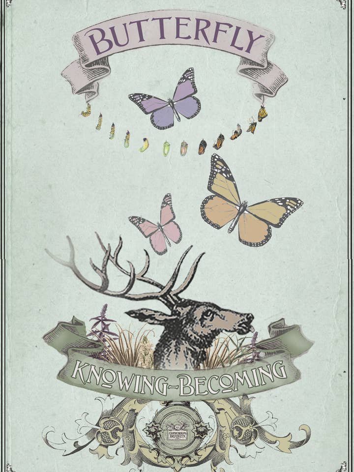 BUTTERFLY for wholesale by Euphorium Brooklyn