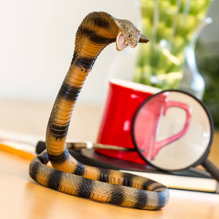 Safari Ltd. - Wholesale Figurine Toy - Kids - Cobra - 2603295