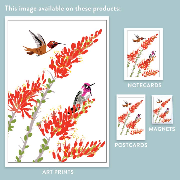 Rigel Paper - Wholesale Postcard - RBI-164 Flowering Desert Ocotillo & Hummingbirds Postcard2