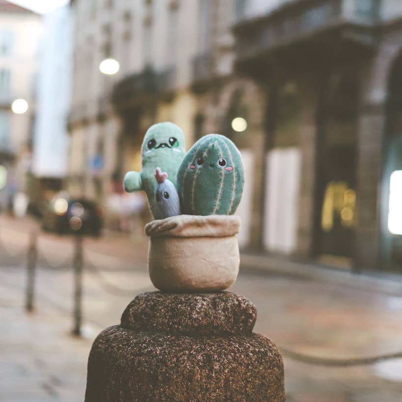 Axol & Friends - Wholesale Stuffed/Plush Toy - Kids & Baby - Mr. Cactus & Family Plush