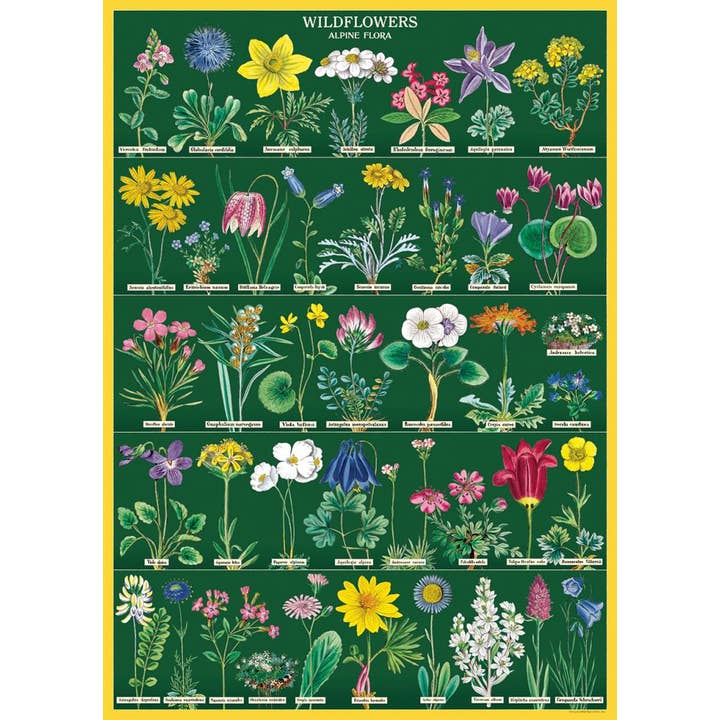 Cavallini Poster/Gift Wrap – Wildflowers 2 for wholesale by Bobangles