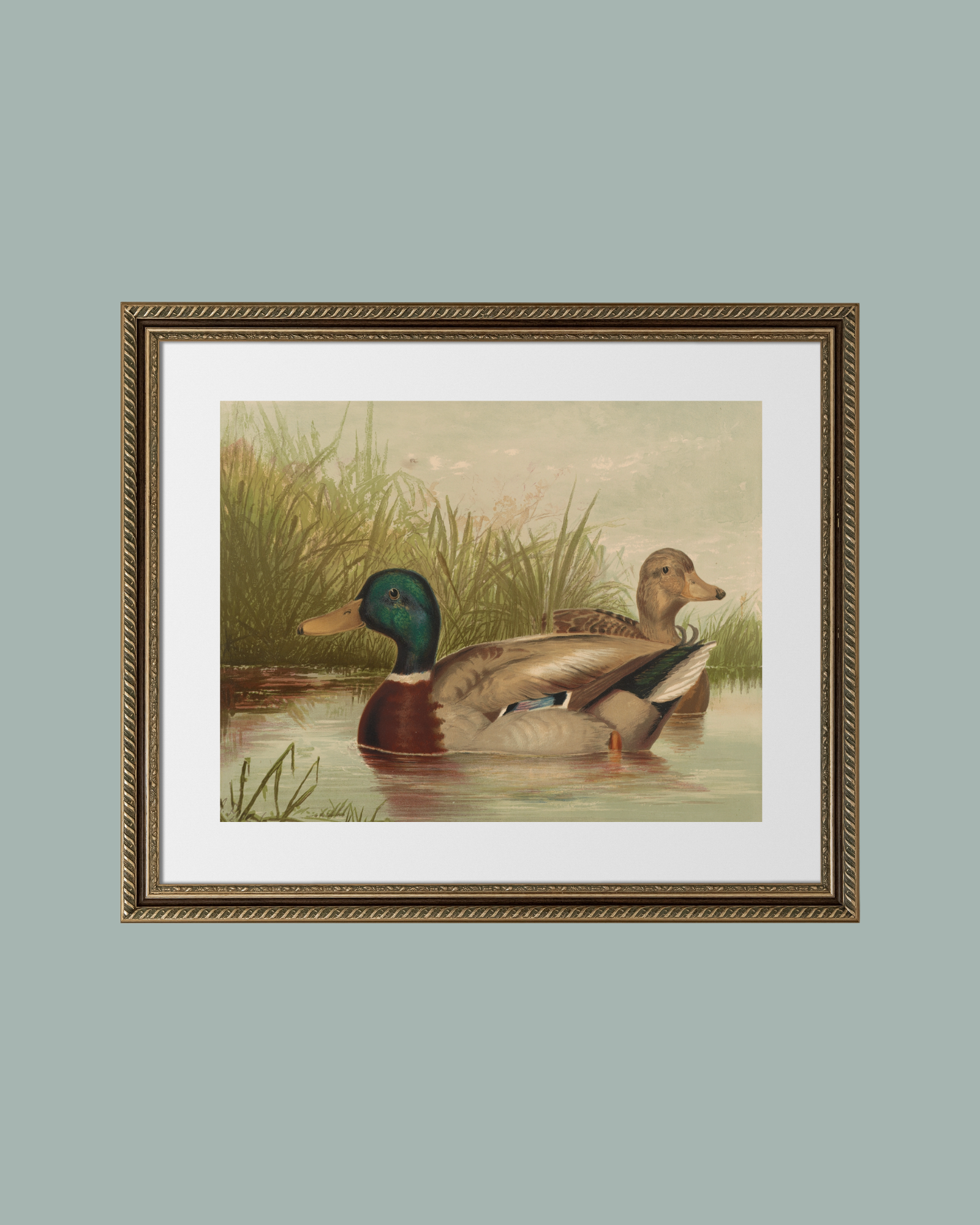 Sea to Skye - Wholesale Art Print - Ducks on the Pond Antique Art Print7