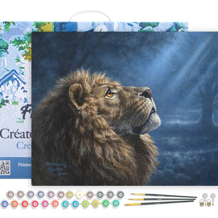 Paint by numbers Lion and Dim Light framed for wholesale by Figured'Art