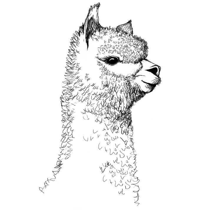 Gaspar Gou - Wholesale Screen Printed T-Shirt - Men's - Alpaca Charlie Tee7