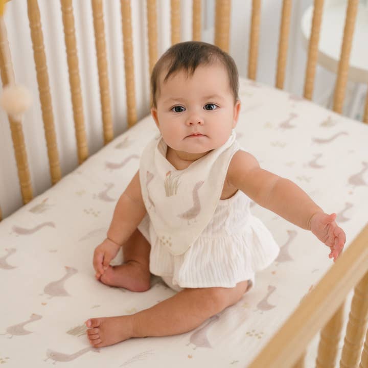 Crane Baby - Wholesale Clothing set – Baby - Charlie 3-pc. Farmhouse Goose Bib Set3