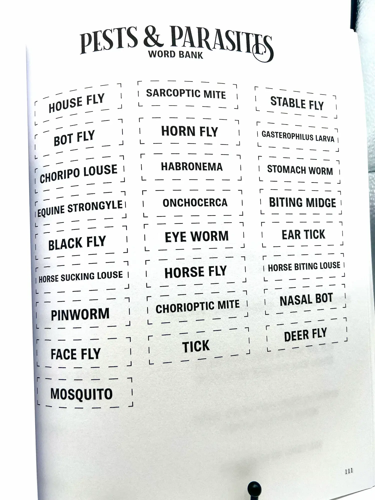 Circus Unicorn Shop - Wholesale Book - Kids - Horse Workbook Vol. II8