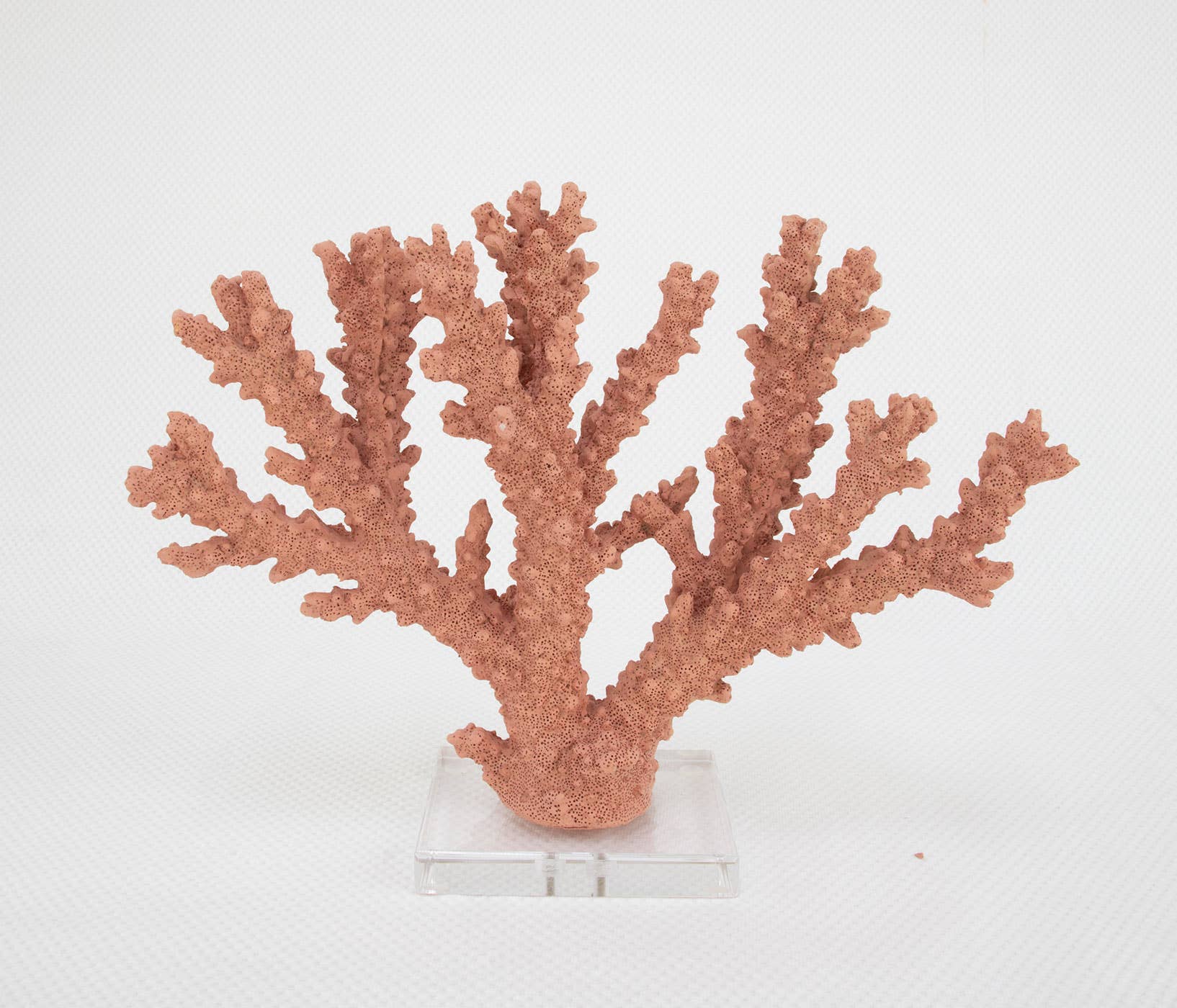 Lillian Home - Wholesale Decorative Tabletop Object - Coral Burst3