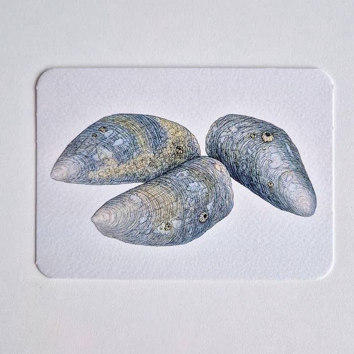 Postal MIRA MIS MEJILLONES para venta al por mayor de Studio Binck