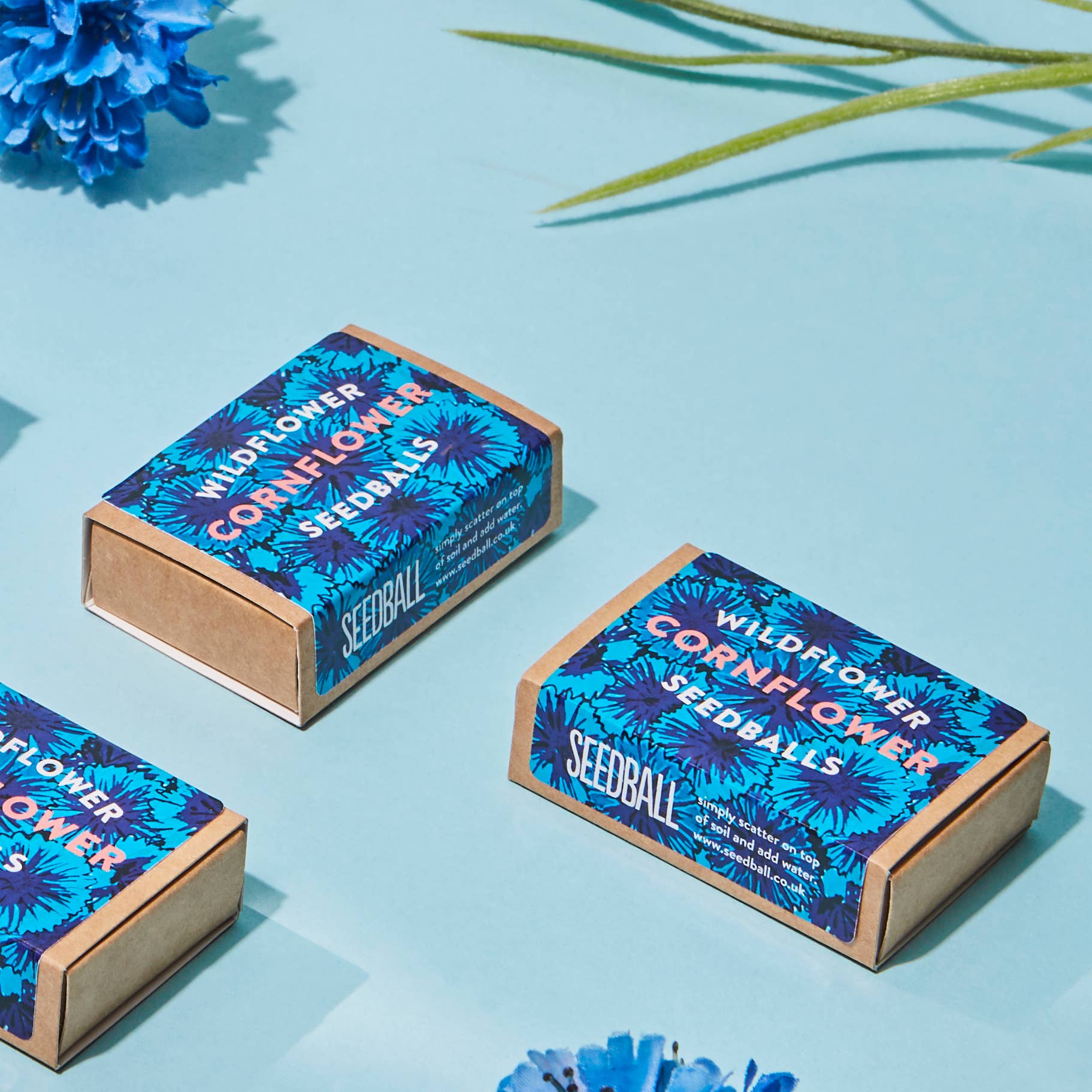 Seedball – wholesale Plant seeds – 50 Seed Boxes with Display Box10