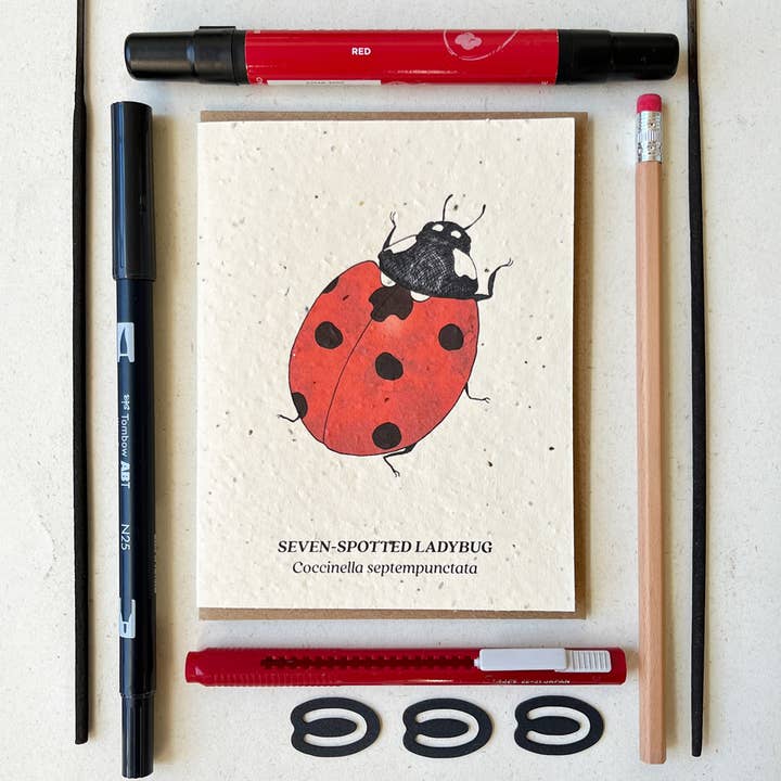 Small Victories - Venta al por mayor Tarjetas de felicitación - Tarjeta de semillas de flores silvestres plantables de mariquita con siete manchas4