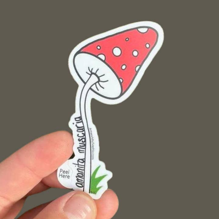 Amanita muscaria | Autocollant en vinyle | Dessin coloré | 3 pouces pour la vente par Artwork by Sophia