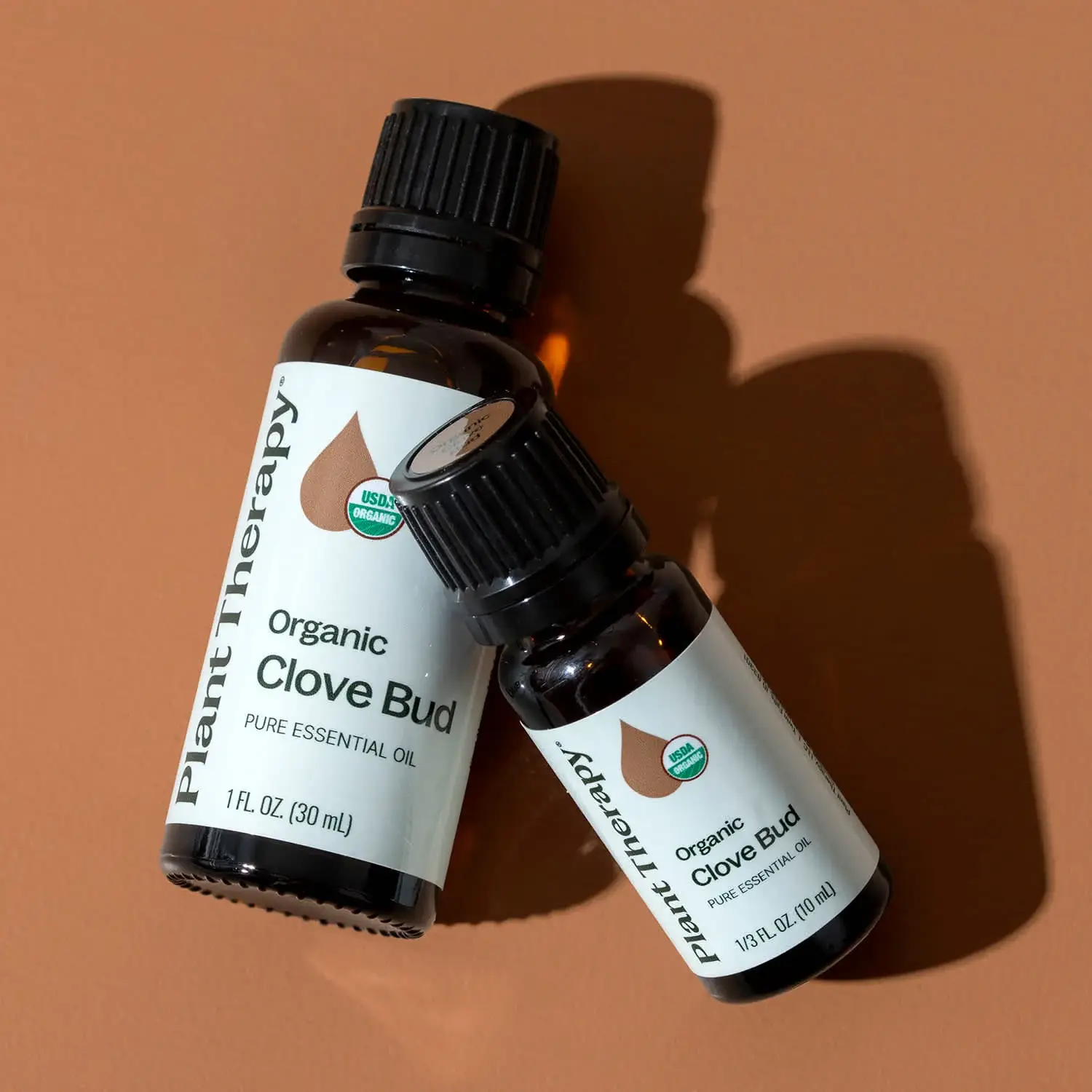 Plant Therapy - Wholesale Essential Oil - Organic Clove Bud Essential Oil 10 mL2