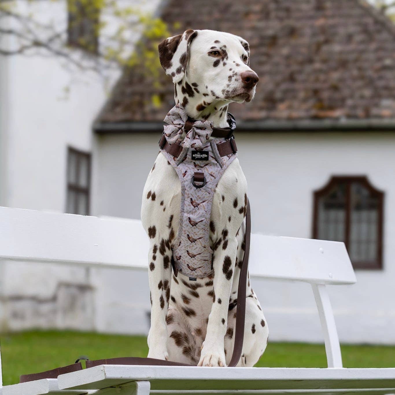 The aDoraBle Pooch Company - Wholesale Tuig voor huisdieren - Hond - Hike & Go™ Harnas - Farmland Fazant6