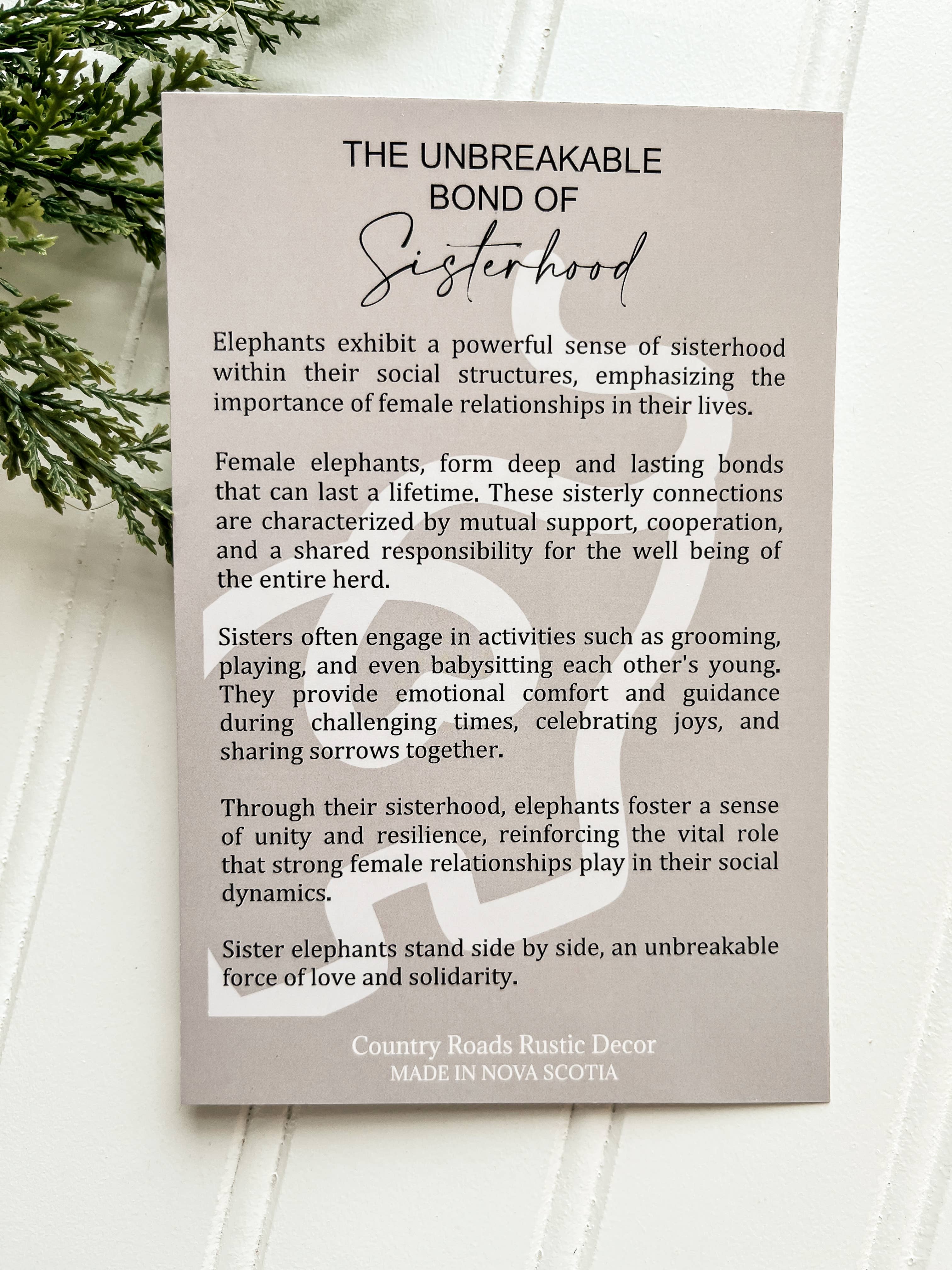 Country Roads Rustic Decor – Ornamento por atacado – Ornamento de Elefante Irmandade2