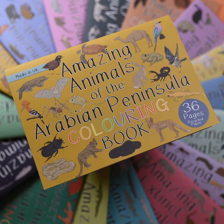 Amazing Animals of the Arabian Peninsula Colouring Book for wholesale by Button & Squirt