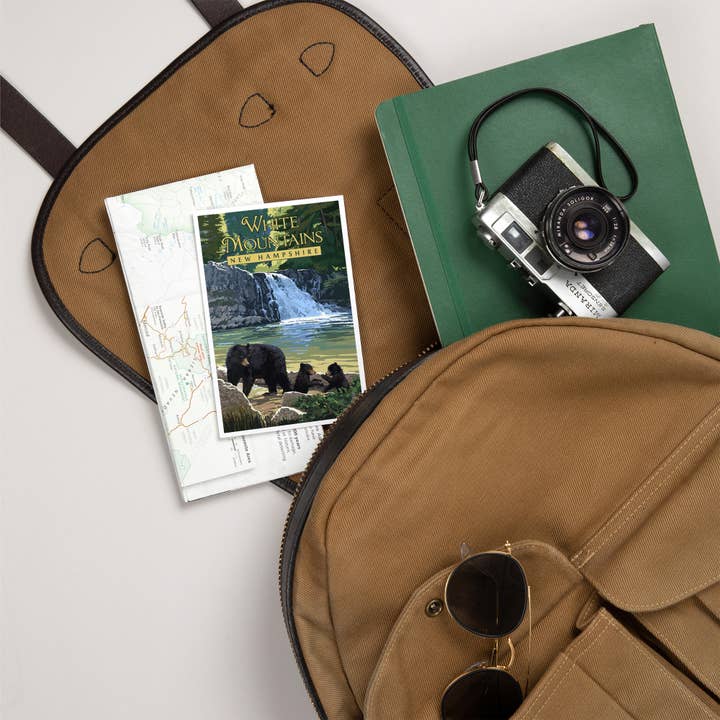 Lantern Press - Wholesale Postcard - PREMIUM POSTCARDS White Mountains, NH Waterfall and Bears