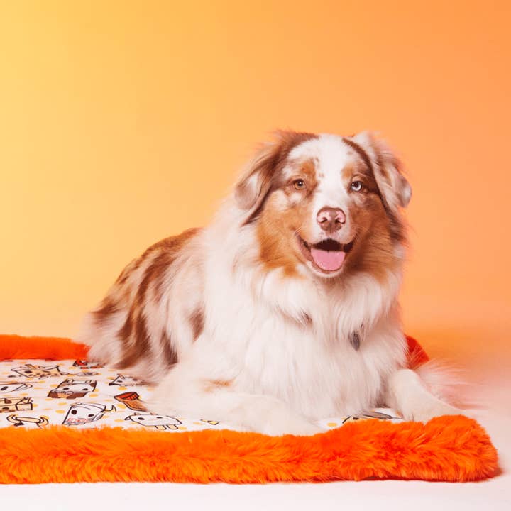 „Milk and Sugar” honden- en kattenmat voor wholesale door Le Tapis Rouge Paris