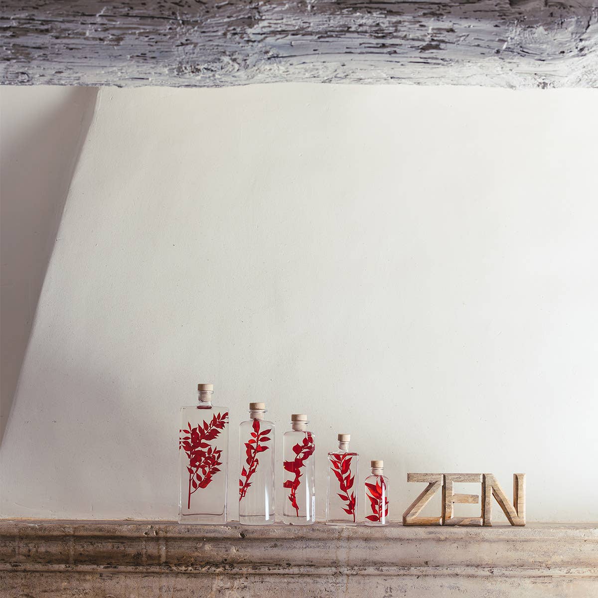 Theophile Berthon - Wholesale Live Plant - Red Ruscus Herbarium submerged plant11