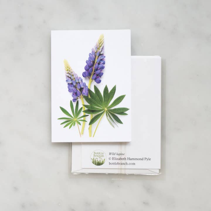 Bottle Branch - Wholesale Everyday Greeting Card - Enclosure card - Lupin2