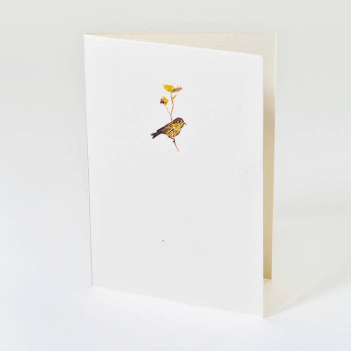 Sae (Birds) SAE - 102 for wholesale by Eunco