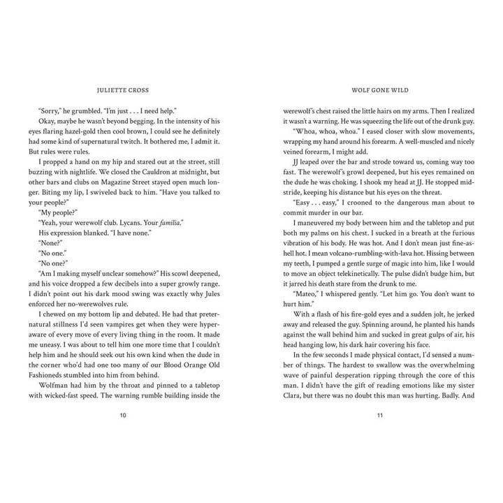 Hachette Book Group - Wholesale Fantasy - Wolf Gone Wild: Stay A Spell Book 16