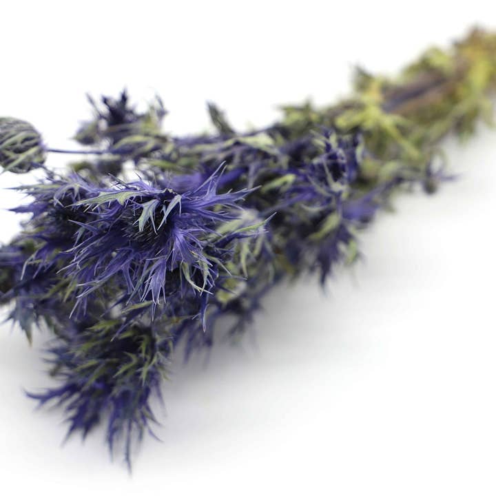 Kunstharz.Art - Wholesale Dried/Pressed Flowers - Eryngium “Blue Star” Thistle Dried Flower Bouquet Decoration