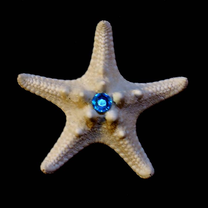 Shell We Sea Designs – wholesale Samlarobjekt mynt – Birthstone/Charka Sten Sjöstjärna nyhet gåva