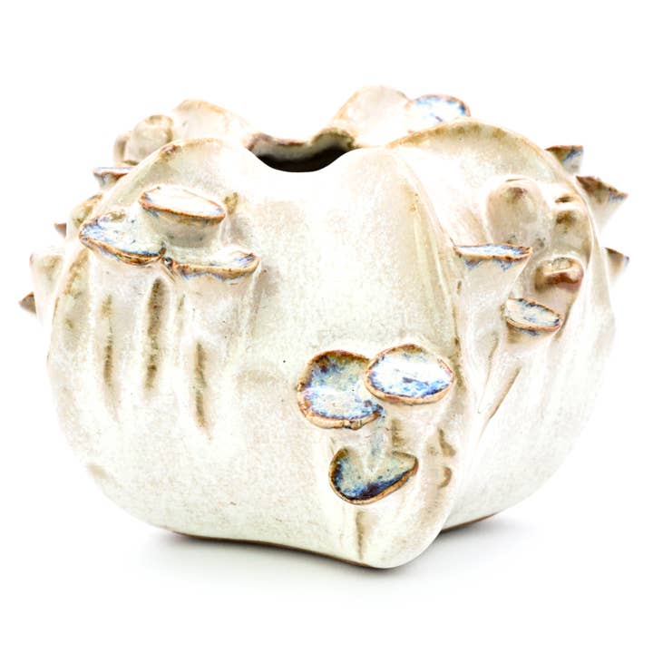 Art Floral Trading LLC - Wholesale Vase - SRI195EFFP Coral with mushroom ceramic vase milk and purple