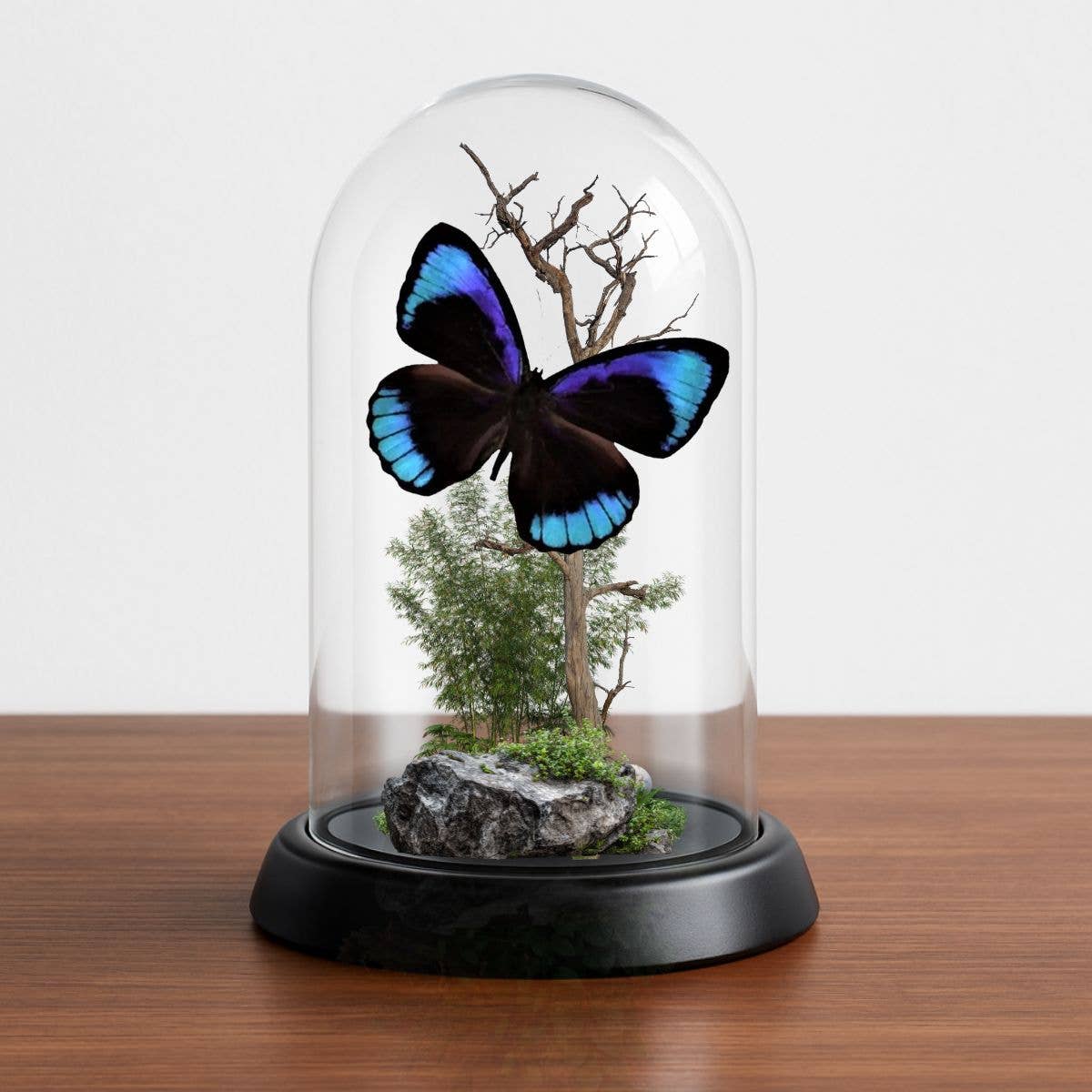 Instar Innovations - Vendita all'ingrosso Decorazioni da tavolo - Collezione di 6 diorami con farfalle sotto cupola da 15x10 cm4