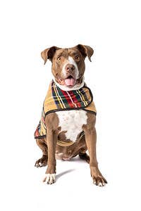 CHILLY DOG LLC - Wholesale Pet Coat - Dog - Tan Tartan Dog Blanket Coat3