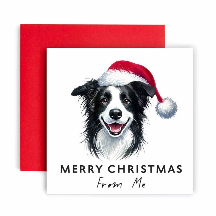 Christmas Card from the Dog – Border Collie for wholesale by Huxters