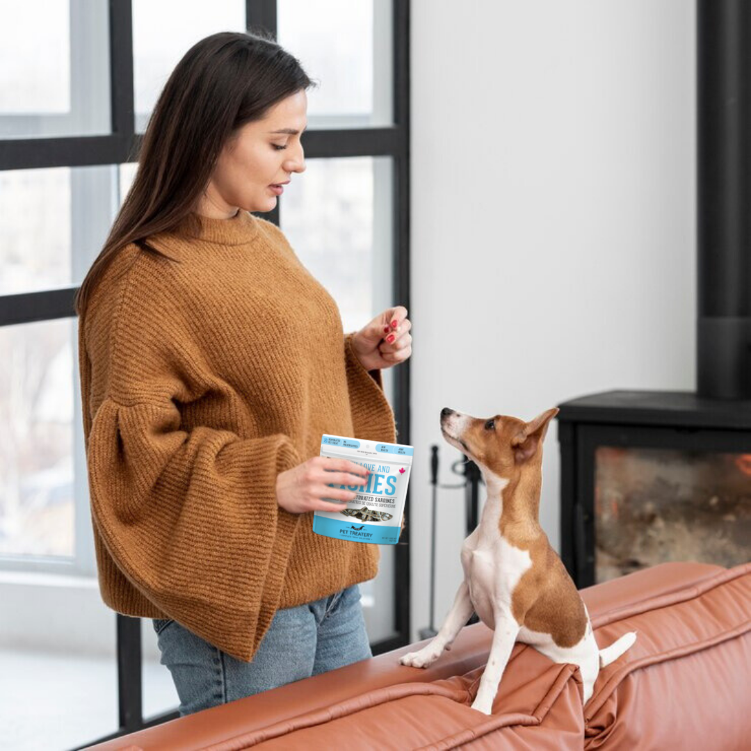 The Granville Island Pet Treatery (USA) - Wholesale Pet Treats - Dog - Sardines Dehydrated Pet Treats: High-Protein & Natural 90g4