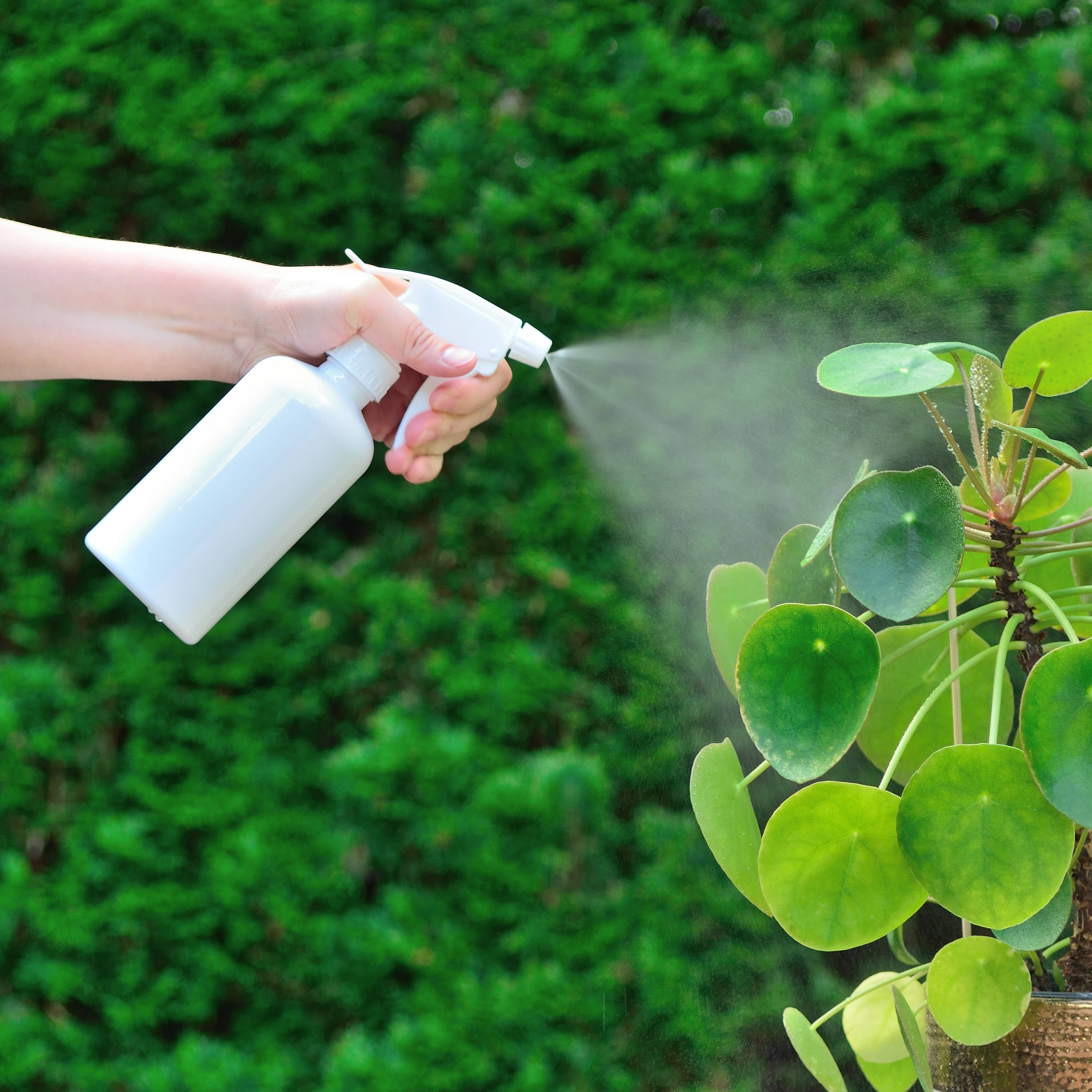 Youngever - Wholesale Spray Bottle - Youngever 6 Pack 12OZ Empty Plastic Spray Bottles - White2