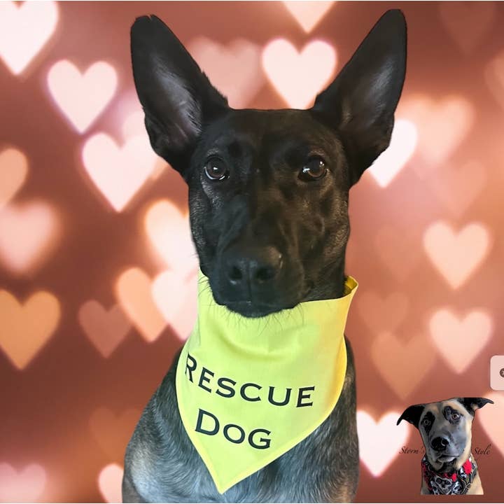 Rescue Dog Bandanas for wholesale by Storms Style
