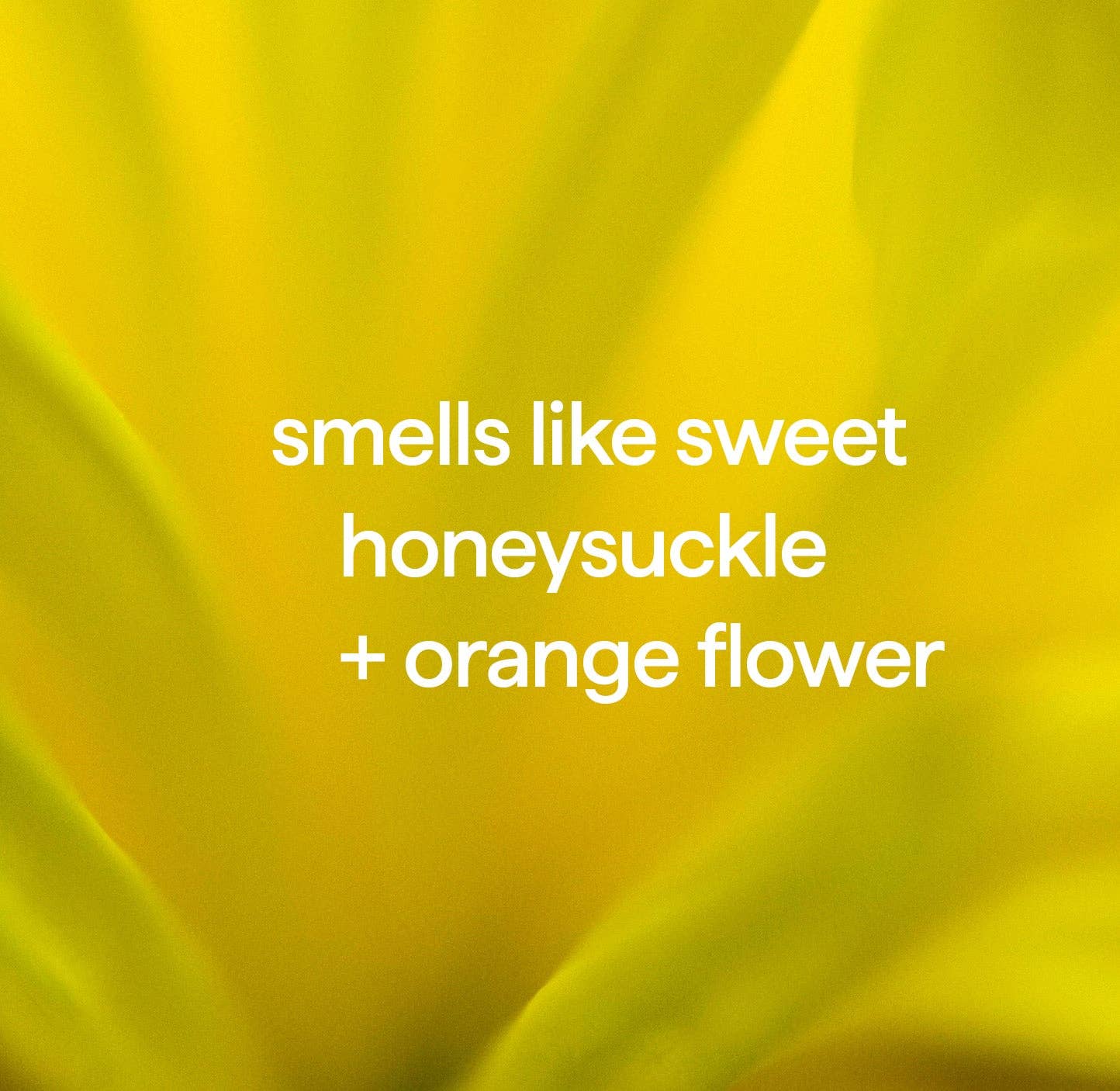 First Choice Buying - Wholesale Hand Soap/Wash - Method Foaming Hand Soap Refill Ylang Ylang + Hyacinth, 28oz2