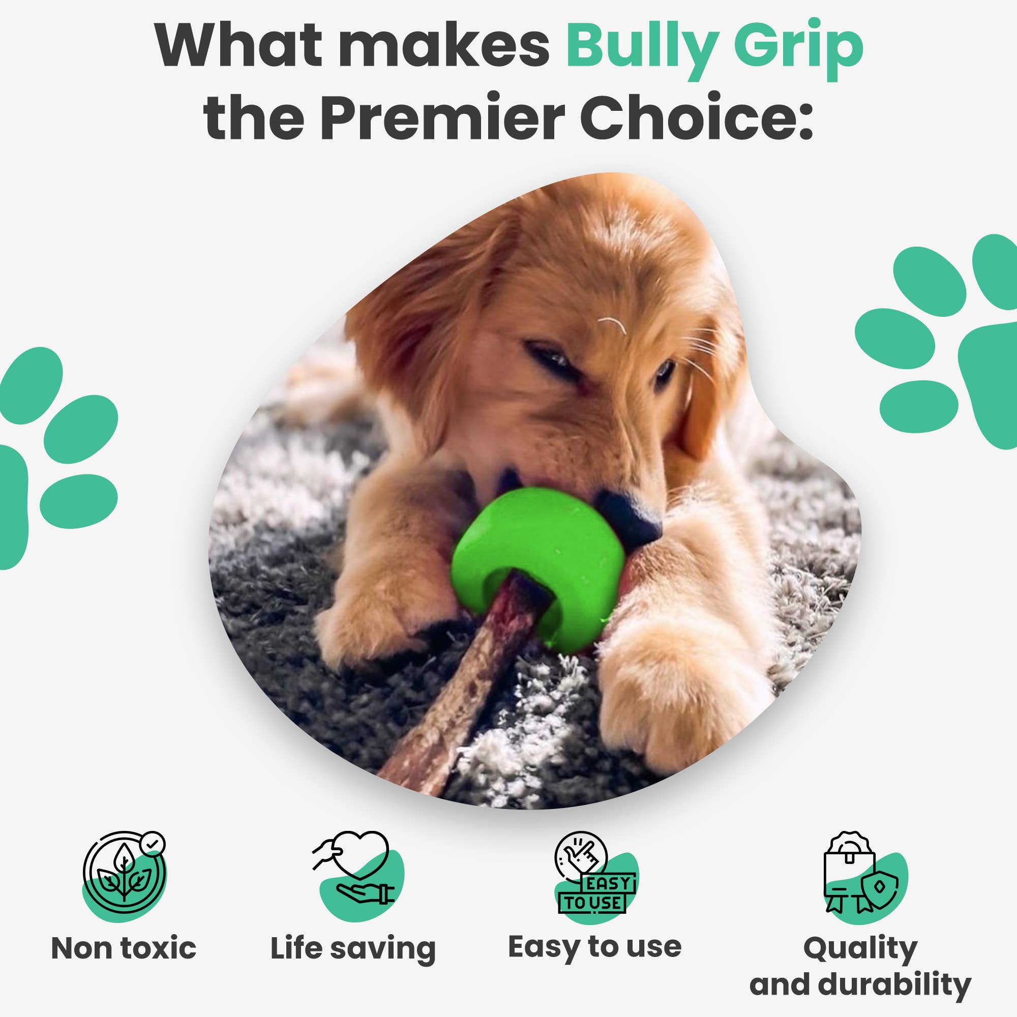 Bully Grip - Wholesale Pet Chew Toy - Dog - BullyGrip Classic Small3