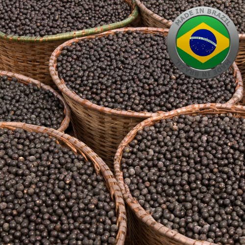 Acai Berry Oil - Natural Unrefined for wholesale by Paris Fragrances Cosmetics Supplies