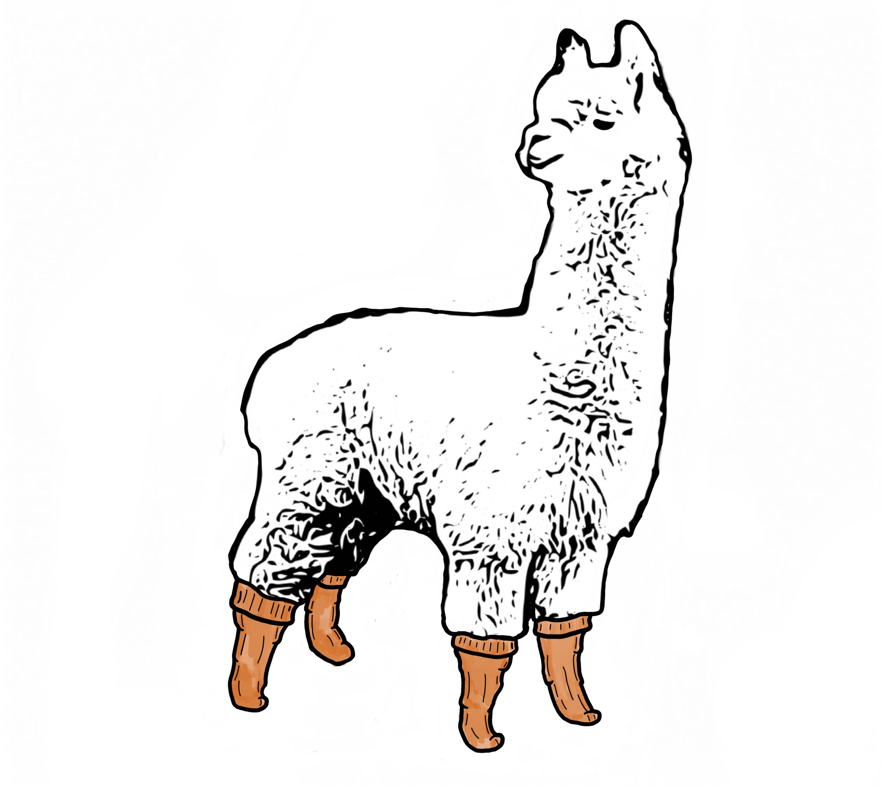 UK Alpaca Yarns Ltd - Wholesale Yarn - Superfine Alpaca 4ply Sock yarn7