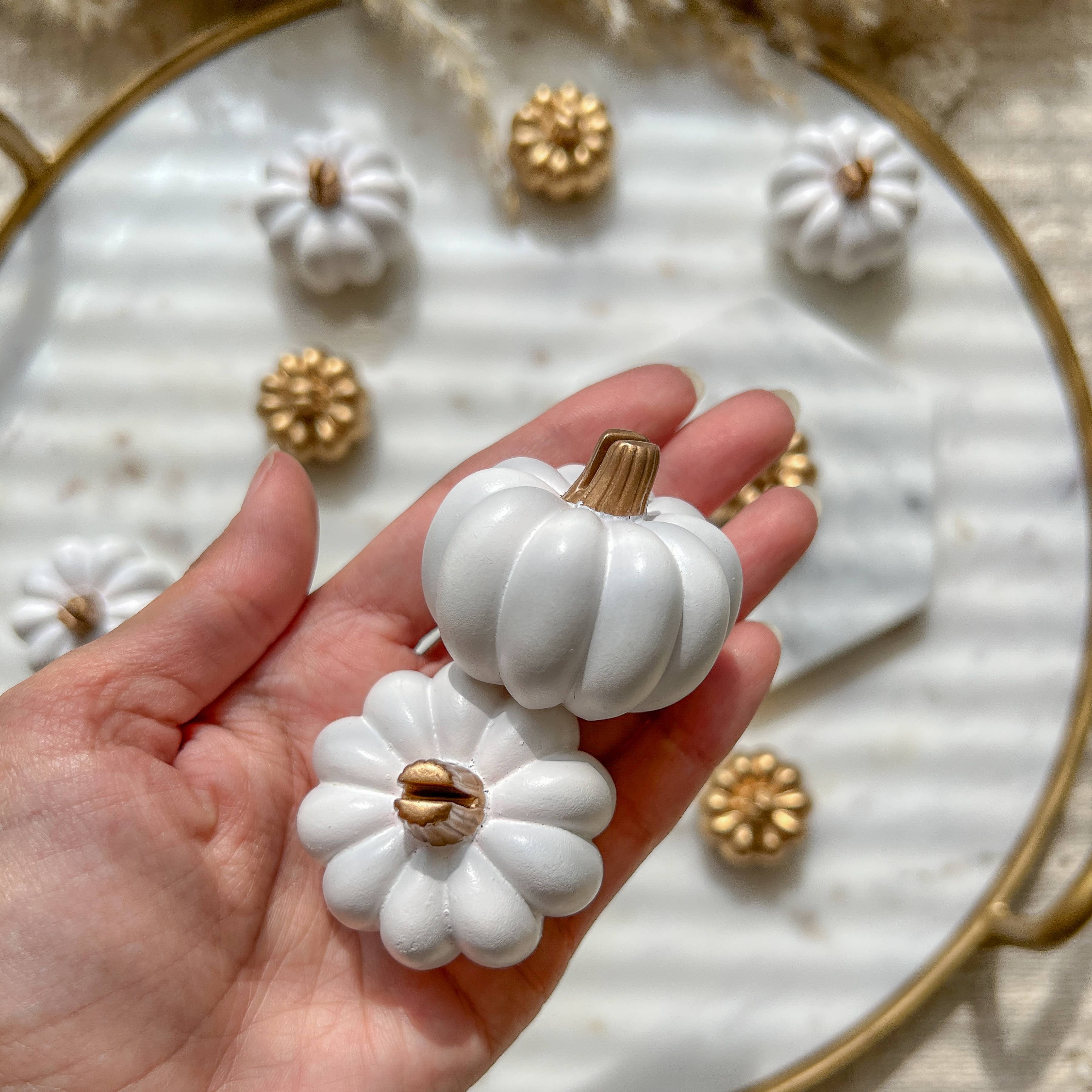Kate Aspen - Wholesale Place Card / Place Holder - White Pumpkin Place Card Holder (Set of 6)6