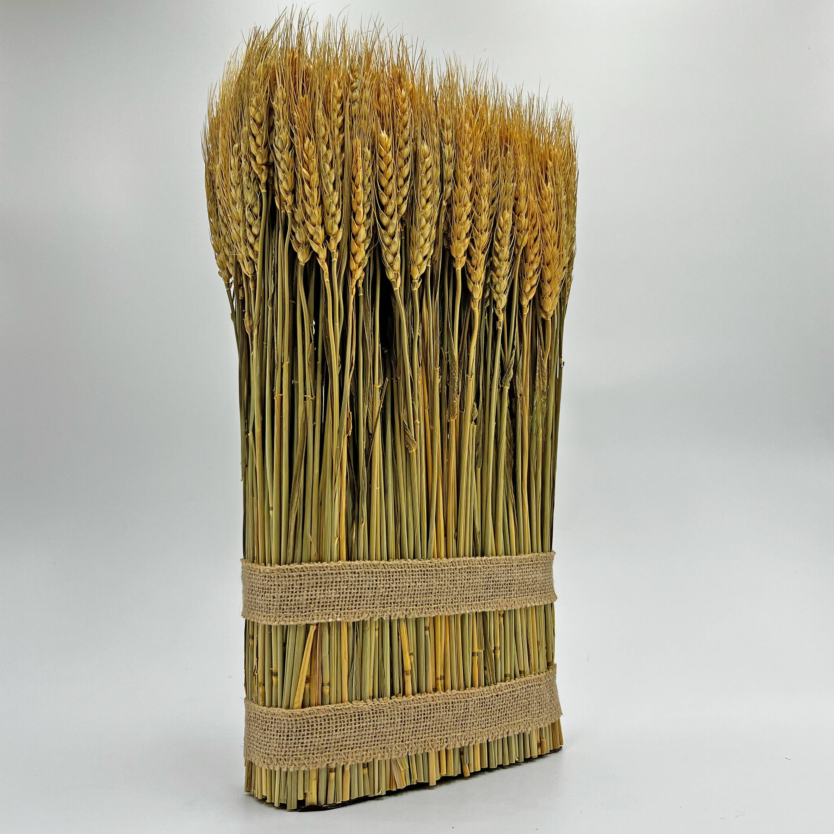 2626 Designs - Wholesale Dried/Pressed Flowers - Fall Harvest Preserved Decorative Wheat Standing Plant 5